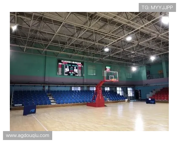 斗球体育a：打造智能化体育管理系统实现赛事高效运营