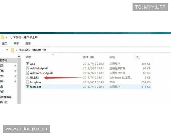 斗球电脑网页版登录遇到问题怎么办？详细解决方案与常见问题解答